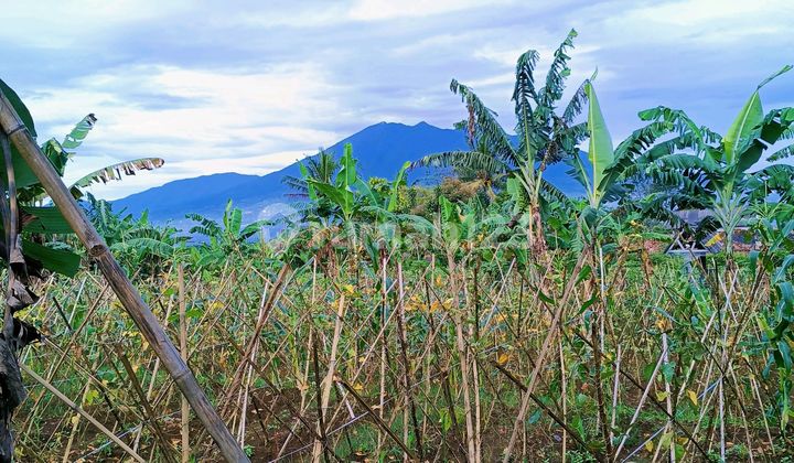 Tanah Strategis dengan View Gunung Salak dan Gunung Gede