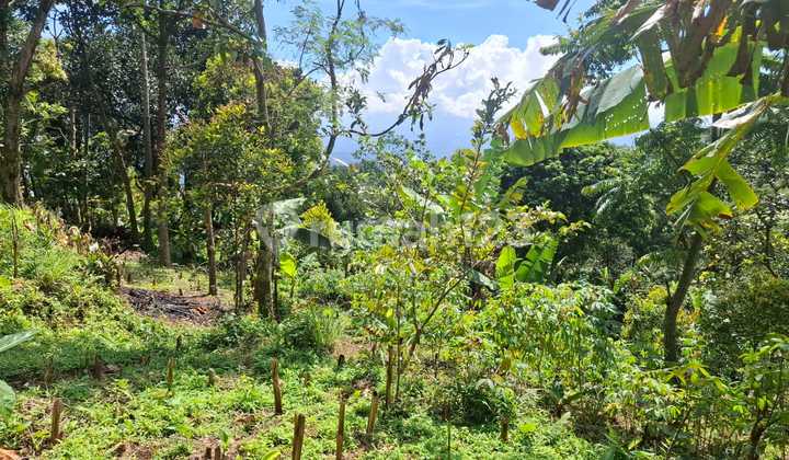 Cheap Land in Cijeruk with Views of Mount Gede Pangrango and Mount Salak