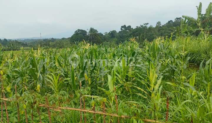 Strategic Land with Views of Mount Gede & Mount Salak