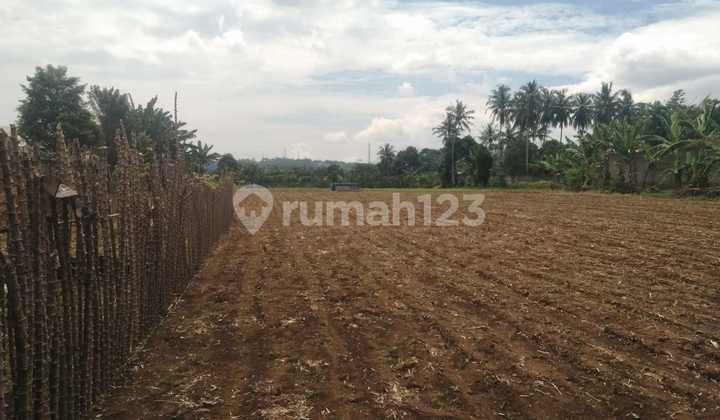 Flat Land for Factory/Warehouse Construction in Caringin Flat Land for Factory/Warehouse Construction in Caringin