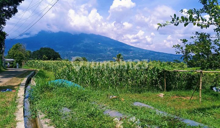Tanah dengan View Sangat Bagus di Caringin Tanah dengan View Sangat Bagus di Caringin