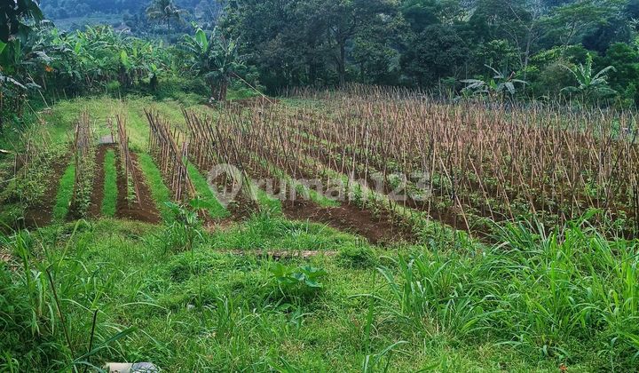 Tanah Strategis Di Caringin Sangat Bagus 