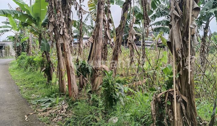 Tanah Strategis Denganview Gunung Salak dan Gunung Gede