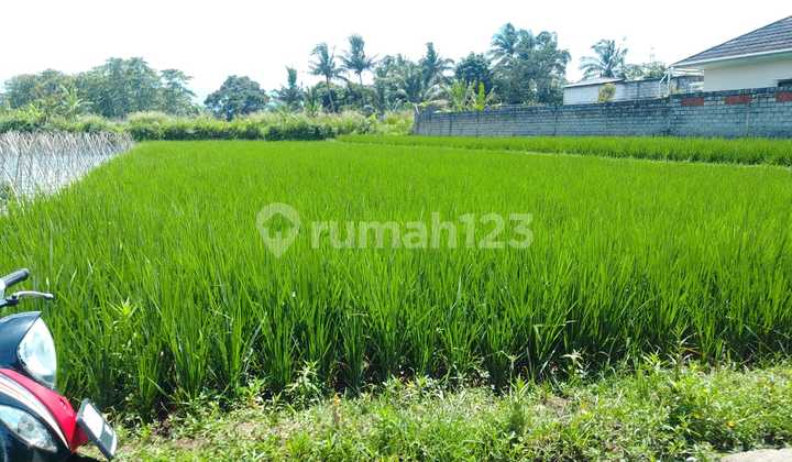 Tanah Sawah Produktif dengan View Pegunungan