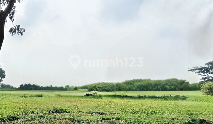 Kavling Jual Cepat Murah, Selat Golf Citraland Surabaya Barat Kavling Jual Cepat Murah, Selat Golf Citraland Surabaya Barat