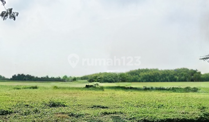 Kavling Villa Sentra Raya Citraland Surabaya Barat, Siap Bangun, Lokasi Strategis Kavling Villa Sentra Raya Citraland Surabaya Barat, Siap Bangun, Lokasi Strategis