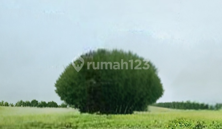 Tanah Kavling Rafles Garden Boulevard Citraland, Surabaya Barat, Siap Bangun Tanah Kavling Rafles Garden Boulevard Citraland, Surabaya Barat, Siap Bangun