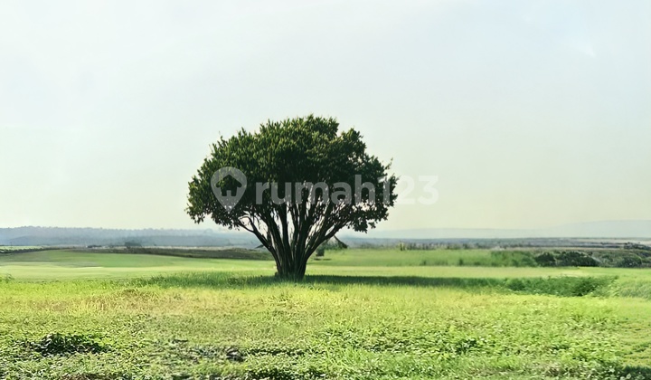 Kavling Golf View, Bukit Golf Internasional Citraland, Surabaya Barat, Siap Bangun
