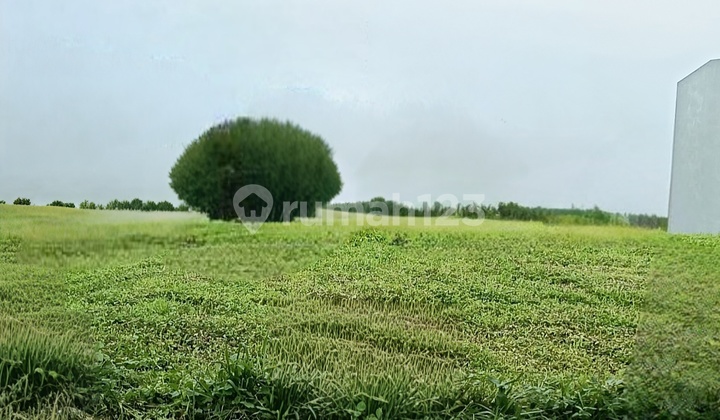 Citraland International Golf Hill Plots, West Surabaya