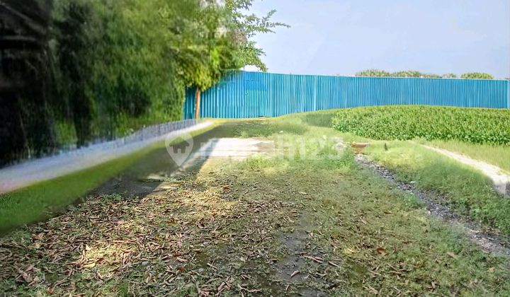 Tanah Raya Menganti, Surabaya Barat, Strategis, Area Komersial, Bebas Banjir, Siap Bangun, Urukan Rata Jalan Raya Tanah Raya Menganti, Surabaya Barat, Strategis, Area Komersial, Bebas Banjir, Siap Bangun, Urukan Rata Jalan Raya