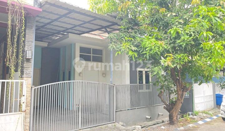 Dijual Rumah Siap Huni Jaya Maspion Permata Cluster Alexandrite Sidoarjo Row 2 Mobil Longgar Bebas Banjir Sudah Renovasi Bangunan Lebih Tinggi