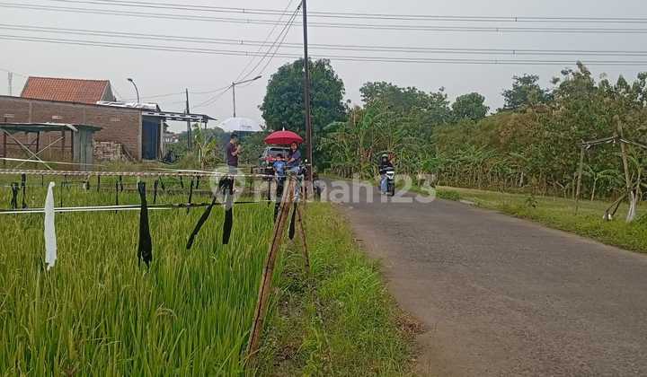 Jual Tanah Nempel Kavling P Jokowi Arah Ungaran, Mranggen, Semarang 1
