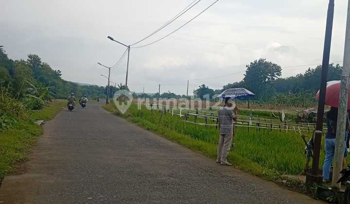 Jual Tanah Nempel Kavling P Jokowi Arah Ungaran, Mranggen, Semarang 2