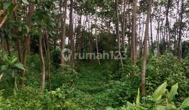 Tanah Strategis di Ungaran Timur Free Biaya Notaris 1