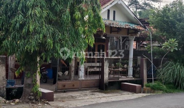 Strategic House with SHM on Main Road, Nice House in Blora Strategic House with SHM on Main Road, Nice House in Blora