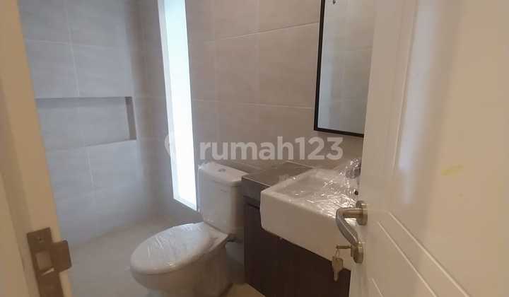 Citragrand - Cluster Red Terracotta Type Daisy 2