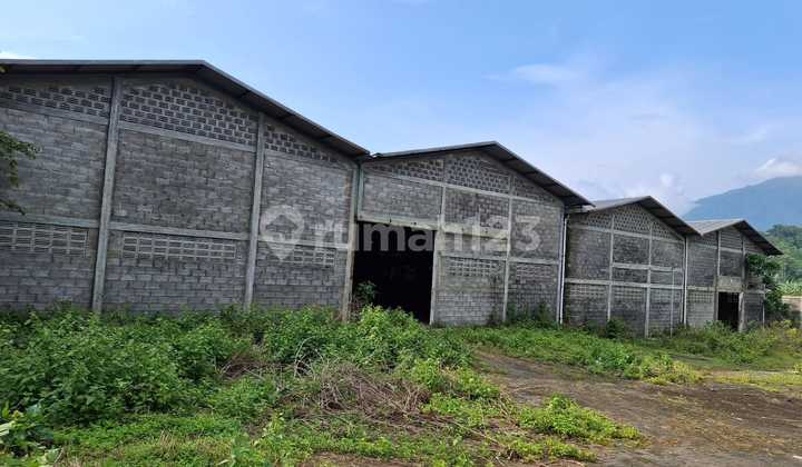 Gudang di Daerah Strategis Pinggir Jalan Raya Semarang Ungaran 1