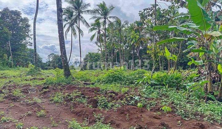 Jual Tanah Murah Pandeglang Banten Jual Tanah Murah Pandeglang Banten