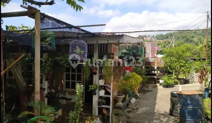 Dok 5 Jayapura Area House House Dok 5 Jayapura Area House House