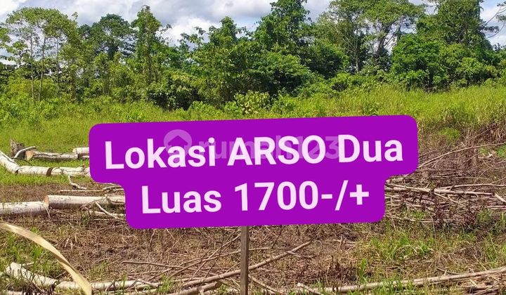 Tanah Seluas 1799 Arso Dua Keerom Harga Murah Tanah Seluas 1799 Arso Dua Keerom Harga Murah