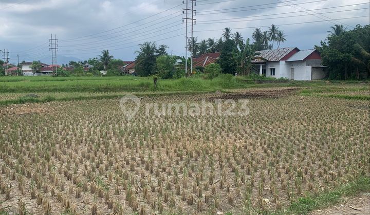 Large Land in Pasar Ambacang, Best Price Strategic Location!