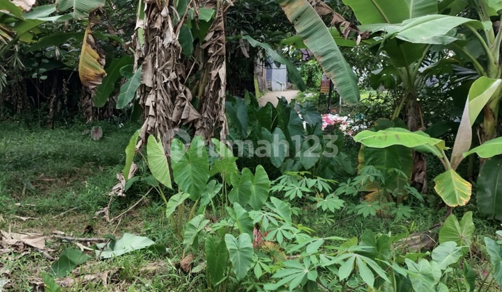 Dijual Tanahjl. Raya Cangkrang, Rt.03/Rw.01, Cikarawang, Kec. Dramaga, Kabupaten Bogor, Jawa Barat 16680 Dijual Tanahjl. Raya Cangkrang, Rt.03/Rw.01, Cikarawang, Kec. Dramaga, Kabupaten Bogor, Jawa Barat 16680