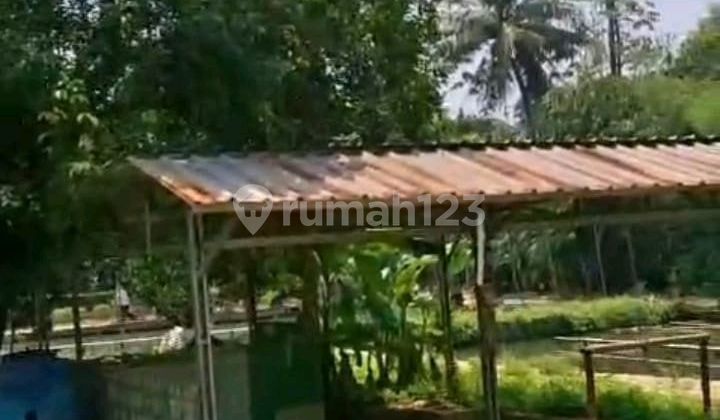 Dijual Tanah Di Sawangan Depok