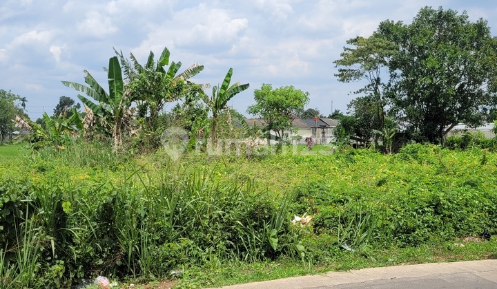 Land Plot in Citayam Tajur Halang