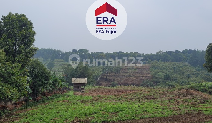 Lahan Tanah Di Desa Pasir Angin Megamendung Bogor Lahan Tanah Di Desa Pasir Angin Megamendung Bogor