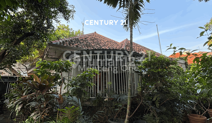 Rumah Dengan Lingkungan Tenang  Premium Di Menteng