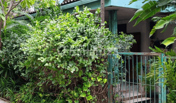 Old House Land Count in the Menteng Area