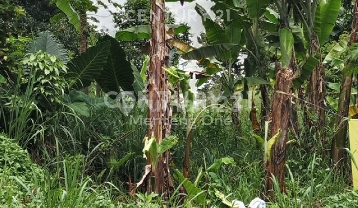 Tanah Kosong Pinggir Jalan Di Daerah Bojong Gede Dekat Pintu Tol Tanah Kosong Pinggir Jalan Di Daerah Bojong Gede Dekat Pintu Tol