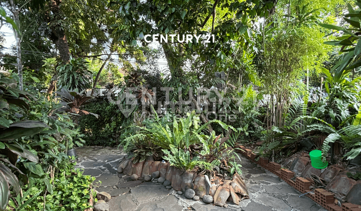 Rumah Dengan Lingkungan Tenang  Premium Di Menteng 2