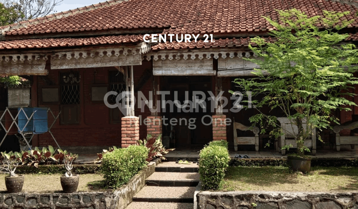 Rumah Dengan Halaman Luas Di Tajur Halang Bogor Rumah Dengan Halaman Luas Di Tajur Halang Bogor