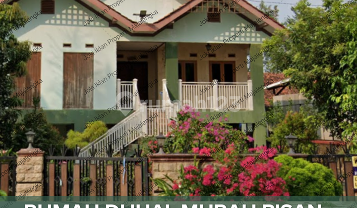 Dijual cepat Rumah 2 lantai luas + Kolam dan kandang merak Dijual cepat Rumah 2 lantai luas + Kolam dan kandang merak