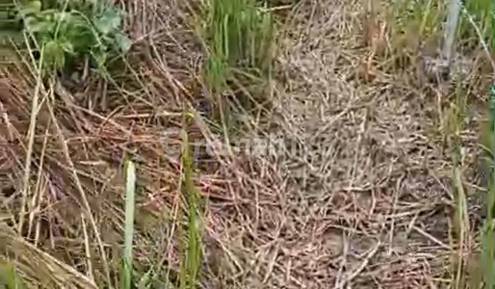 Jual Tanah Pinggir Jalanraya Kol. Hr. Hadijanto 2