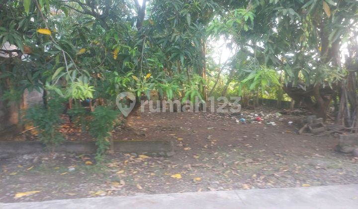 Jual Tanah Murah Daerah Pedurungan Jual Tanah Murah Daerah Pedurungan