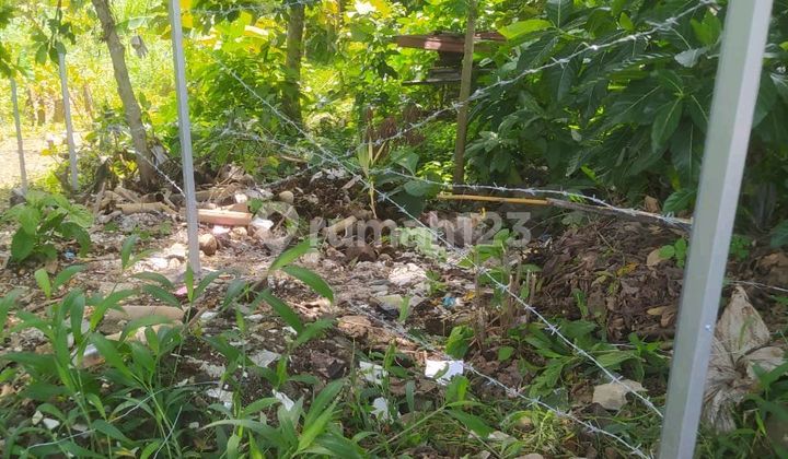 Jual Tanah Pinggir Jalanraya Kol. Hr. Hadijanto 1