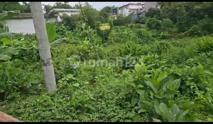 Strategic Land Location, By the Main Road, Affordable Price 2