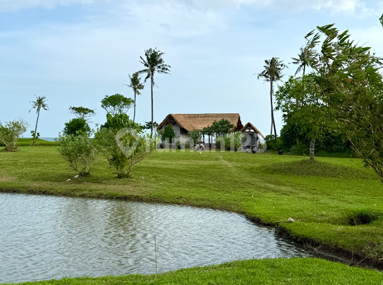 Tanah Kavling View Pantai Dan Sawah Di Pangkung Tibah Tabanan Tanah Kavling View Pantai Dan Sawah Di Pangkung Tibah Tabanan