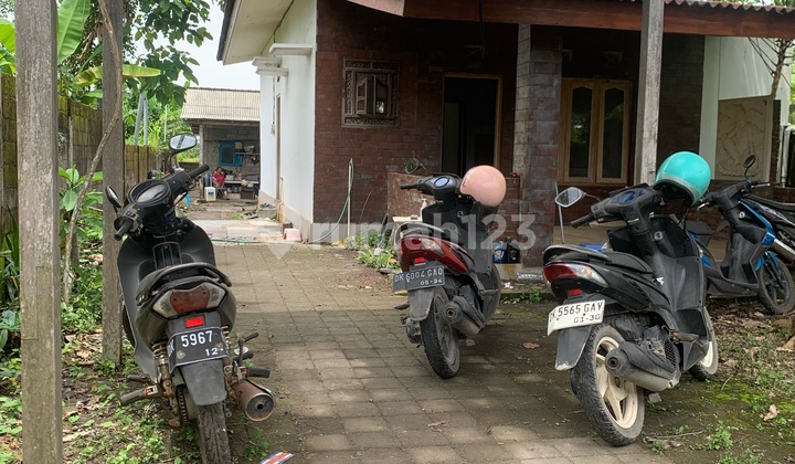 Tanah Strategis Bonus Bangunan di Kawasan Berkembang Sanggulan Tabanan Tanah Strategis Bonus Bangunan di Kawasan Berkembang Sanggulan Tabanan