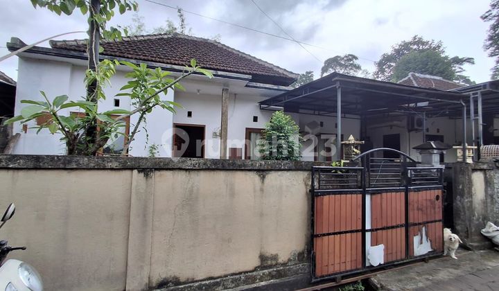Affordable 1-Story House in Penarungan, Mengwi, Badung