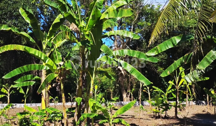 Empty Land Suitable for Villas by Kerambitan Beach