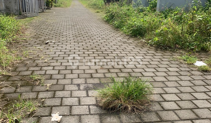 Vacant Land Plot Near Tabanan City Center and Jatiluwih Tourism Area