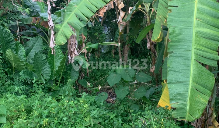 Quick Sale Land 90 Meters From Ir. Soekarno Bypass Tabanan