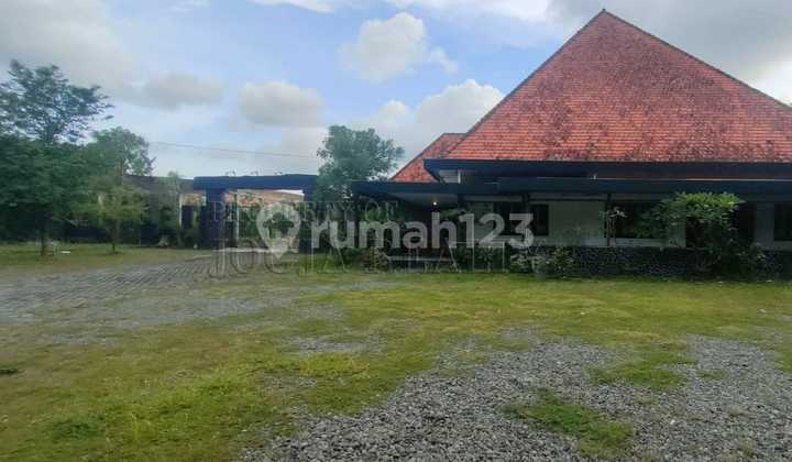 Investasi Tanah Pekarangan Ditengah Kota Yogya Bonus Bangunan Investasi Tanah Pekarangan Ditengah Kota Yogya Bonus Bangunan