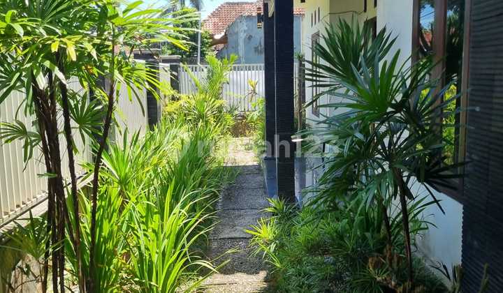 Sell Beautiful House Hook Access Palagan Mangku Street Main Road Sell Beautiful House Hook Access Palagan Mangku Street Main Road