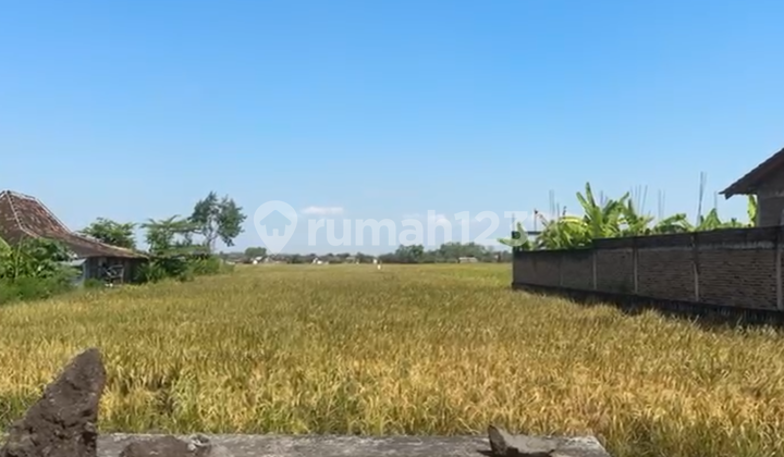 Land for Sale in KPI Zone in Sragen