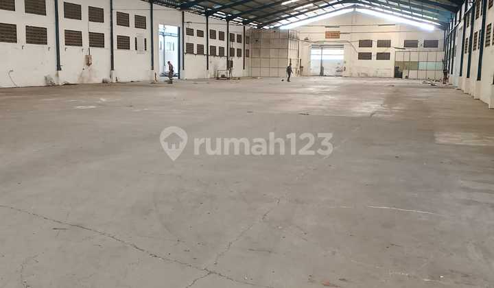 For Rent: Ready-to-Use Cheap Warehouse in Mranggen, Semarang For Rent: Ready-to-Use Cheap Warehouse in Mranggen, Semarang