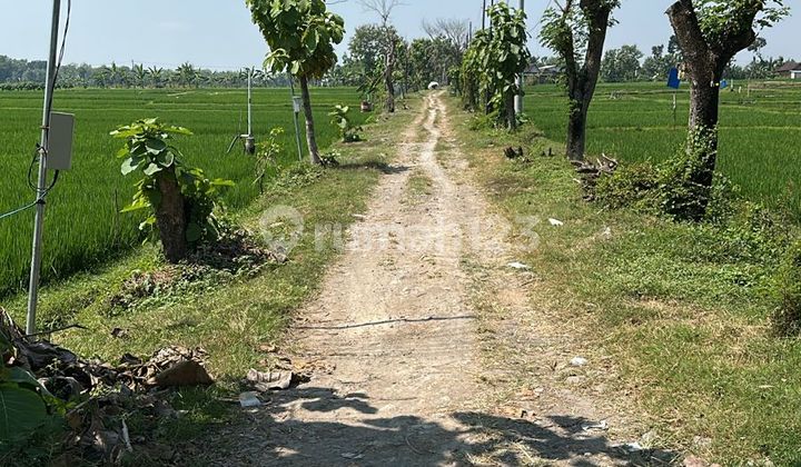 Dijual Tanah di Sragen 